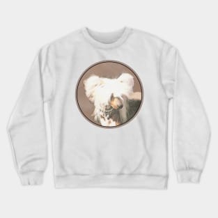 Chinese Crested (Hairless) Crewneck Sweatshirt